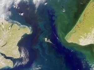 AQSH va Rossiya tunnel orqali bog‘lanishi mumkin