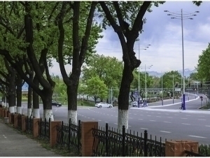 Тошкентдаги яна бир йўл вақтинча ёпилади