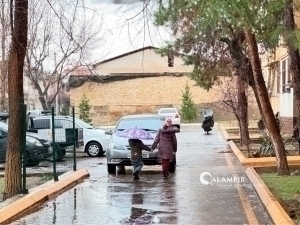 Эртага айрим ҳудудларда ёмғир ёғади