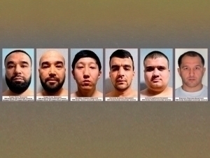 Чирчиқда бир гуруҳ кўча безорилари ушланди