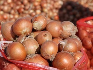 It was said that 37.5 thousand tons of onions will be introduced to the domestic markets