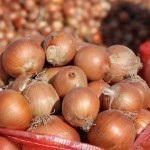 It was said that 37.5 thousand tons of onions will be introduced to the domestic markets