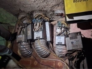 Buxoroda mayning ferma 1,2 mlrd so‘mlik tokni o‘g‘irladi (video)