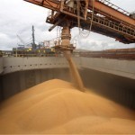 Август ойида Украинадан қанча дон экспорт қилингани очиқланди 