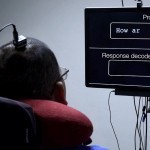 Фалажларга гапириш имконини берувчи чип ишлаб чиқилди