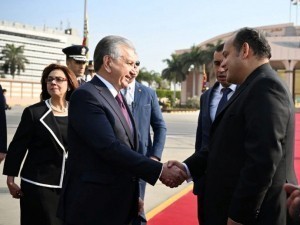 Mirziyoyev spoke with the President of Egypt on the phone 