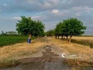 Ertaga qanday ob-havo bo‘ladi?