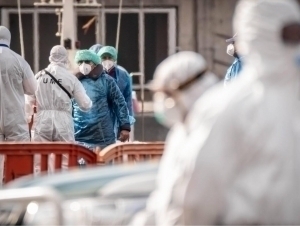 JSST hantavirus haqida yangi ma’lumot e’lon qildi