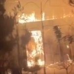 Наманганда уй ёниб кетди (видео)