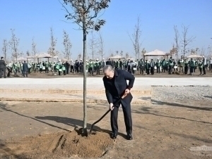 Mirziyoyev yangi bog‘ga ko‘chat ekdi