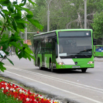 Toshkentda yo‘l yopilishi sababli qator avtobus yo‘nalishlari o‘zgardi