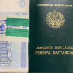 Kimlardan pensiya yoshiga yetganida ortiqcha hujjat talab etilmaydi?
