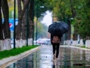 Toshkentda sun’iy yomg‘ir yog‘diriladi