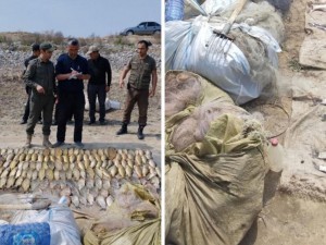 Six people were arrested for illegal fishing in the Sardoba reservoir