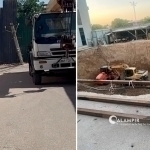 Toshkentda kotlovan noto‘g‘ri qazilishi oqibatida simyog‘och qulab tushdi (video)