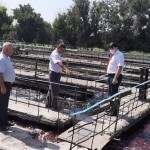 Чирчиқ дарёсида қизил рангли сув оқаётгани айтилди