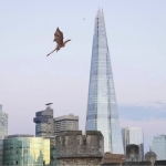 London osmonida ajdarho ko‘rinish berdi (video) 