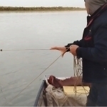 Poachers attack environmentalists with paddles in Tashkent