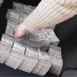 Authorities bust land scam in Navoi and beyond (video)