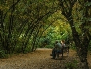 Kelasi yili Toshkentda 3 ta dendrologiya va 1 ta botanika bog‘i tashkil etiladi