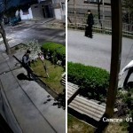 Toshkentda ko‘chadan 28 kishi giyohvand modda qidirdi (video)