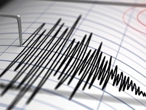 Earthquake in Kyrgyzstan felt across Uzbekistan