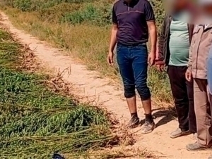 Qashqadaryoda fermerning ukasi 20 sotix yerga nasha ekdi