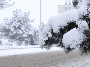 Weather forecast  for March 2: Snow and rain expected