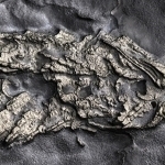 АҚШда 450 млн йиллик ҳайвоннинг “олтин” қолдиғи топилди