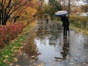 Rain in several regions of Uzbekistan tomorrow