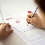 Teachers without language certificates requested not to be dismissed