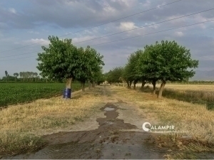 Бугун об-ҳаво қандай бўлади?