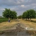 Bugun ob-havo qanday bo‘ladi?