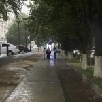 Rain expected in some regions tomorrow