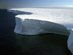 Dunyodagi eng katta aysberg ochiq okeanga chiqdi