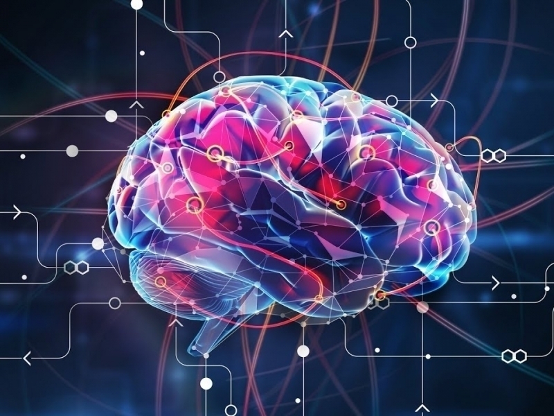 Ўзбекистон IQ кўрсаткичи рейтингида юқорилади