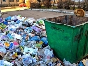 A fine exceeding 90 million soums has been levied for waste dumping in Syrdarya
