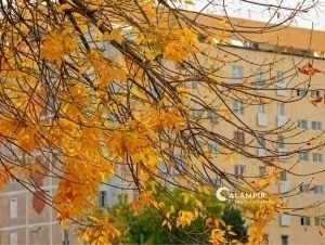 Qizil maydonda porno Qaroqchi bilan katta jinsiy aloqa bilan porno video