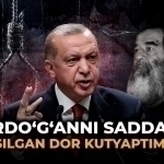 Erdo‘g‘anni Saddam osilgan dor kutyaptimi?
