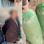 Andijonda otaxonning uyidan 20 kg marixuana chiqdi