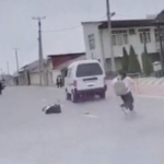 Toshkentda Damas haydovchisi o‘quvchini urib, qochib ketdi (video)