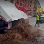 Italiyada eko-faollar IIV binosi oldida go‘ng to‘pladi