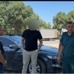 Samarqanddagi qurilish maydonida qimmatbaho daraxtlar kesib tashlandi