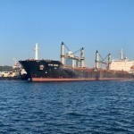 Украина дони кемаларда ночор Африкага эмас, Ғарбга ташиляпти – Расмий Москва