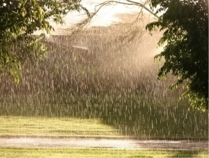 It was announced in which regions it will rain at the beginning of the week