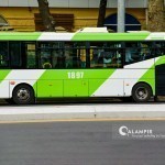 Toshkentda avtobuslar uchun yo‘l haqining an’anaviy shakli o‘zgardi