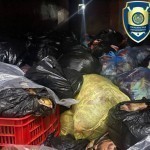 Qashqadaryoda 4 tonnaga yaqin yaroqsiz go‘shtni pullamoqchi bo‘lganlar ushlandi