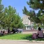 Эртага ҳаво 44 даражагача исийди