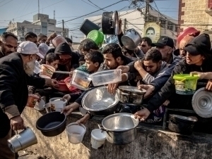 G‘azoga kuniga qancha oziq-ovqat kirayotgani aytildi