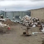 Navoiyda noqonuniy oltin qazib olgan shaxs ushlandi (video)